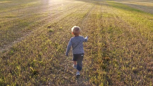 Young boy running in field towards golden sunlight. Dolly shot. Slow motion.