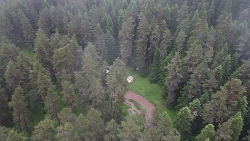Wonderful Forest And Camp View 4K Dron Shooting