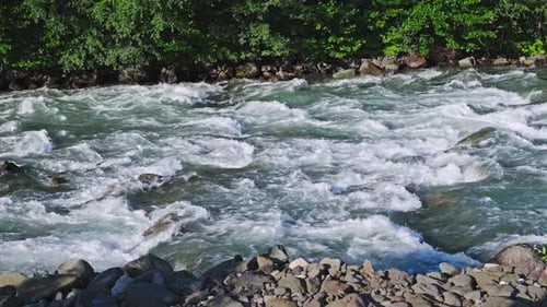 Mountain River in Summer A Powerful Fast Stream of Clear Water Pours Through River Rapids and Stones