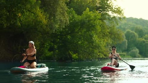 Popular Paddle Boarding Sport In Summer Group Of Tourists Floating On SUP Boards In River