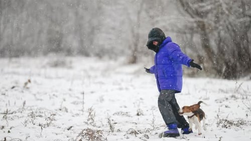 Woman Playing with Little Beagle Puppy on Winter Nature Area Countryside