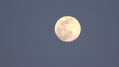 Full Moon Glowing in the Night Sky