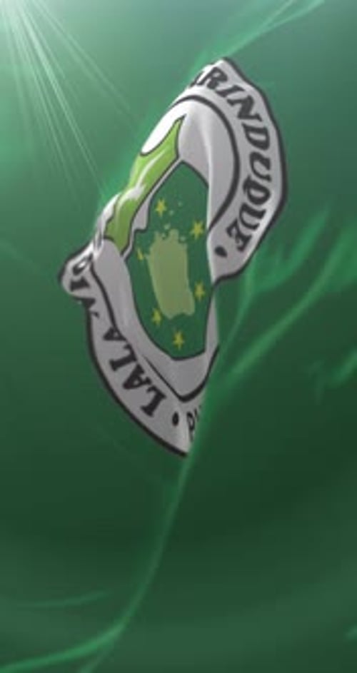 Waving Green Flag with Official Emblem Animation