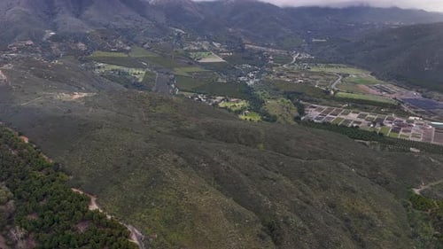 Vue sur les arbres de montagne 4K