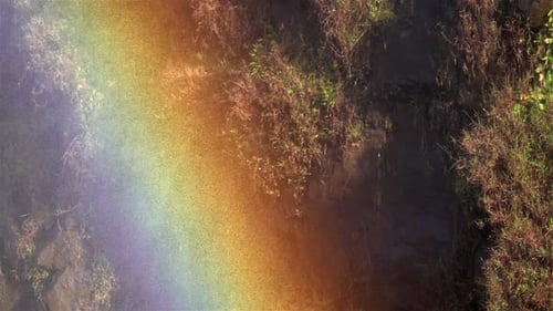 Rainbow Displaying Over Lush Green Nature