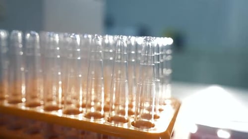 Rack of Empty Test Tubes in Laboratory