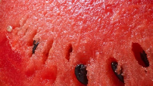 Watermelon in macro video