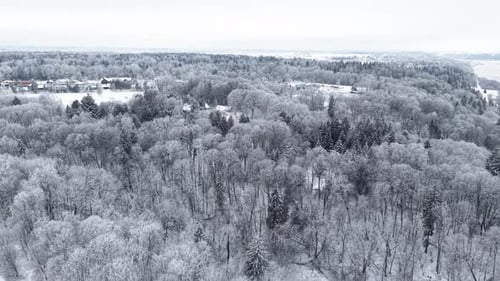 Aerial Drone View of Winter Forest Landscape