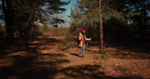 Backpacker Hiker Girl with Hiking Poles Walking Between Trees in a Mountain Forest Hispanic Teenager