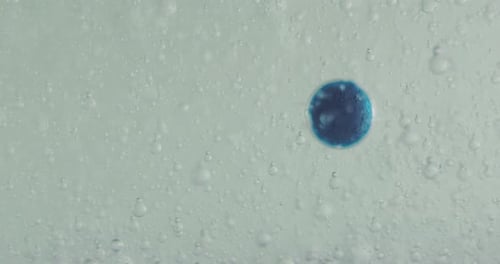 Slow motion macro of micro particles molecules in a liquid are analyzed with microscope for resear