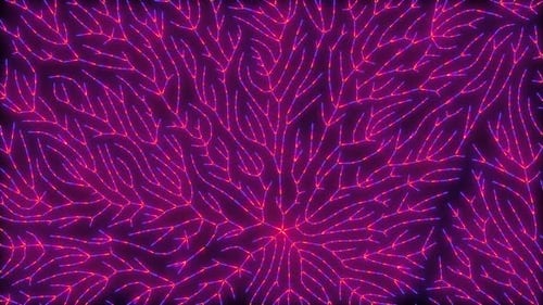 Boucle de transfert de données Neuro Link Veins