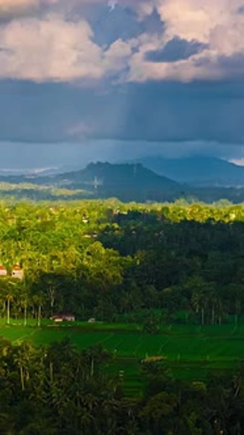 Lush Green Tropical Landscape Aerial Footage
