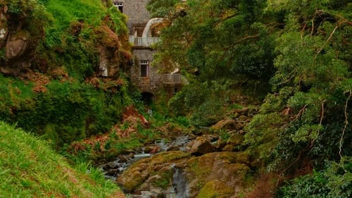 Parque Natural Ribeira dos Caldeiroes em São Miguel, Açores, Portugal