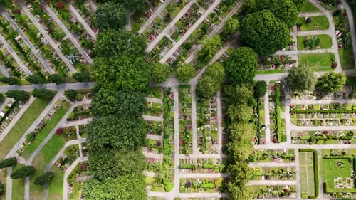 Aerial top down of peaceful graveyard cemetery during sunny day with green grass. Rising shot. Freed