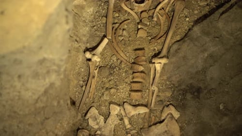 Human skull and bones in dirt Archeology discovery in cave, Panning shot