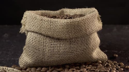 Coffee Beans Spill from Burlap Sack Still Life