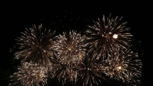 Firework