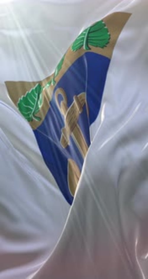 Realistic Waving Flag Animation with Heraldic Emblem