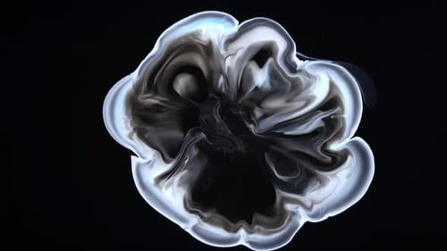 Marble Moving Structure in White on a Black Background Luxurious Black and White Marble Background