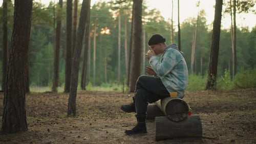 Peaceful Forest Evening Quiet Outdoor Scene with Hiker Enjoying Peaceful Dinner Solitary Traveler