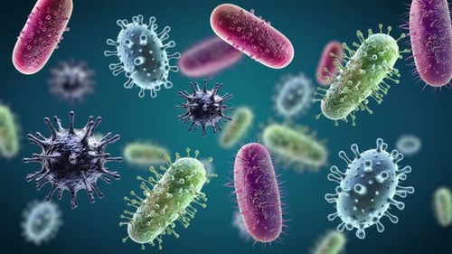 3D Animation of Floating Bacteria and Viruses