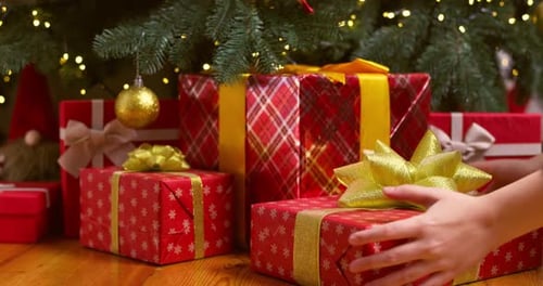 Beautiful Wrapped Gifts Under Decorated Christmas Tree