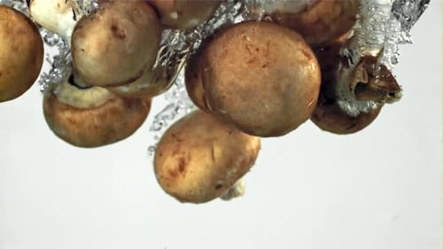 Mushrooms Fall Under Water Filmed on a Highspeed Camera at 1000 Fps