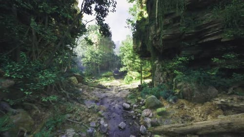 Sundrenched Ravine Clearing with Scattered Stones and Scenic Horizon