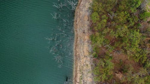 Drone Shot of Lake Shoreline and Trees
