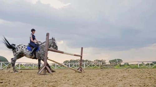 A Woman Jockey Jumps Over the Barriers on a Horse in a Jumping Competition Slow Motion