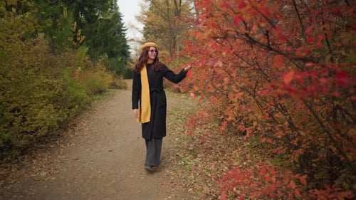 Young Lady Touches Autumn Leaves on Woodland Path