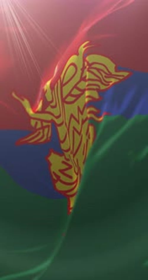 Vertical Waving Flag with Stylized Emblem and Light Rays