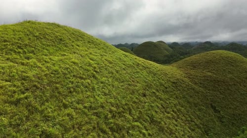 Chocolate Hills sur l'île de Bohol aux Philippines