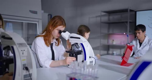 Pupils In Biology Or Chemistry Lessons In High School Future Scientists And Doctors Teens
