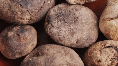 Black and White Chunos Potatoes From Peru Chuno Food From Potato Bolivian Peruvian Traditional Dish