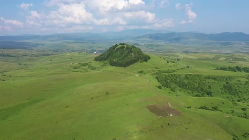 Aerial View of a Green Hill with Pine Trees in the Middle of a Meadow in Spring