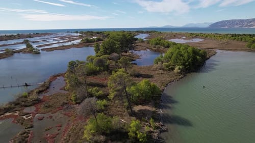 Mangrove trees and mud surrounded by shallow water of lagoon near Adriatic sea coastline in Albania