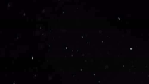 Floating White Dust Particles on Black Background