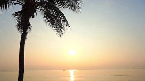 Goldenes Licht eines tropischen Sonnenuntergangs, das auf der Oberfläche des ruhigen Ozeans mit Palmen scheint und sich spiegelt