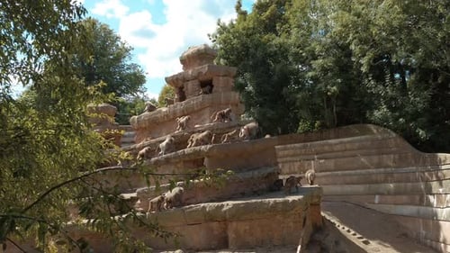 Paviane im Gehege im Zoo