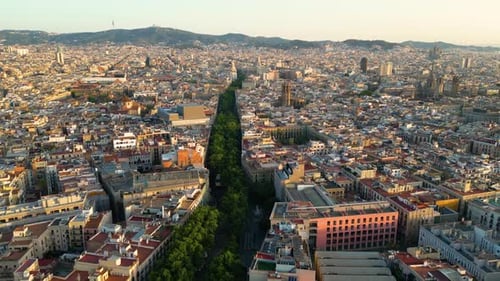 Aerial view of Barcelona with famous La Rambla street at sunrise. Catalonia, Spain