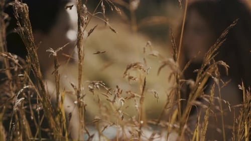 A man and a woman sitting in a grass field kissing.
