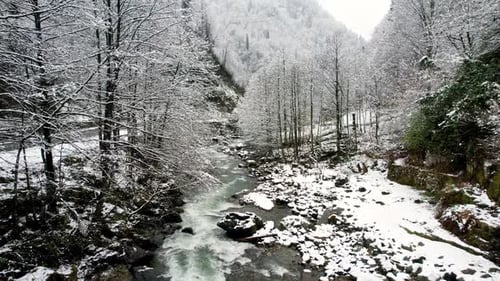 Snow Covered Forest and Mountain Stream in Winter Landscape