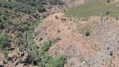 Tilt down shot over a stream hiding under the trees in a valley surrounded by dry mountains and hill
