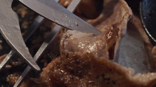Savory juicy grilled meat freshly cut with scissors and fork, close-up
