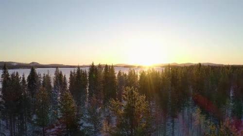 Aerial view above woodland treetops towards scenic golden sunrise over Lapland mountains horizon