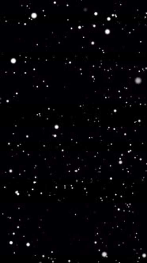 Winter Snowfall Flying Motion Background Loop V3