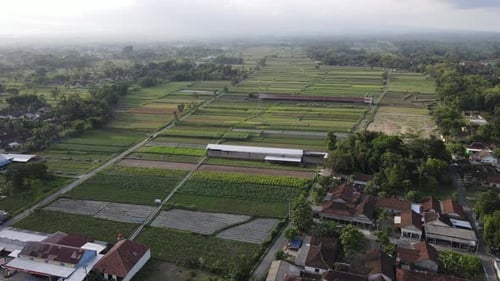 Aerial View of indonesia traditional village and Rice Field.