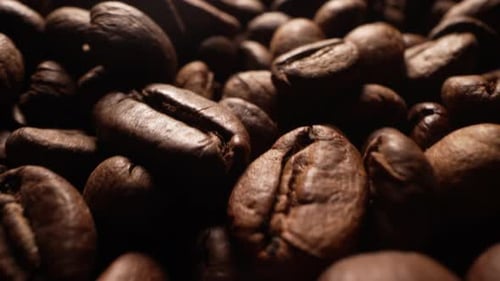 Aromatische, reichhaltige Kaffeebohnen, Röstung, Koffein, Energie, brasilianische Arabica-Ernte