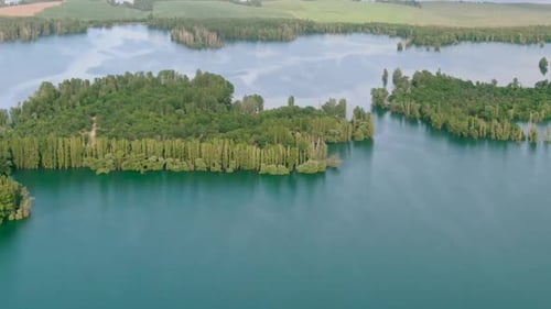 Aerial view of water reservoir with green trees